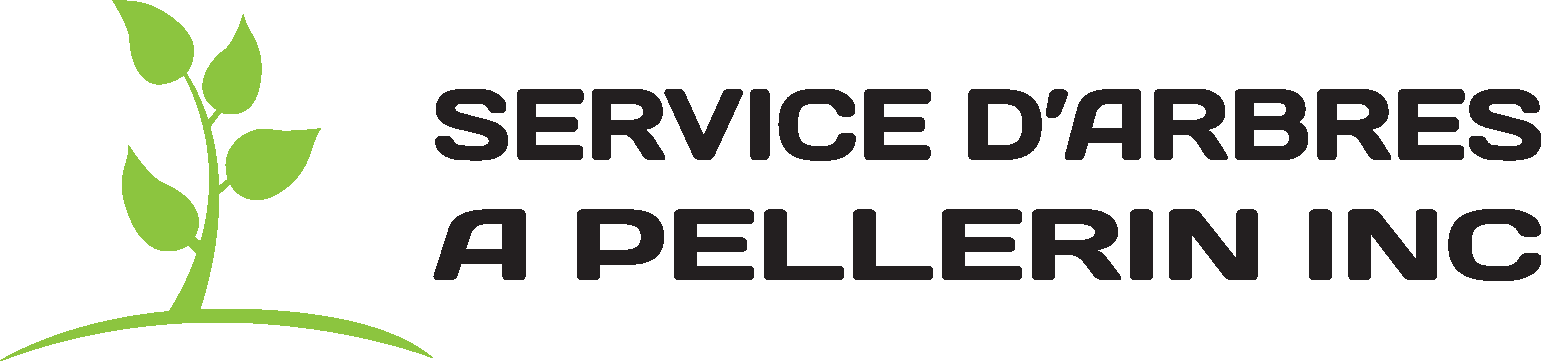 Logo de Service d'arbres A.Pellerin